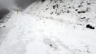 Tekirdağ'da Ganos Dağı'nda kar kalınlığı 10 santimetreye ulaştı