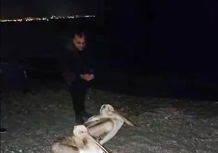 Gören telefona sarıldı! Dünyaca ünlü sahilde...