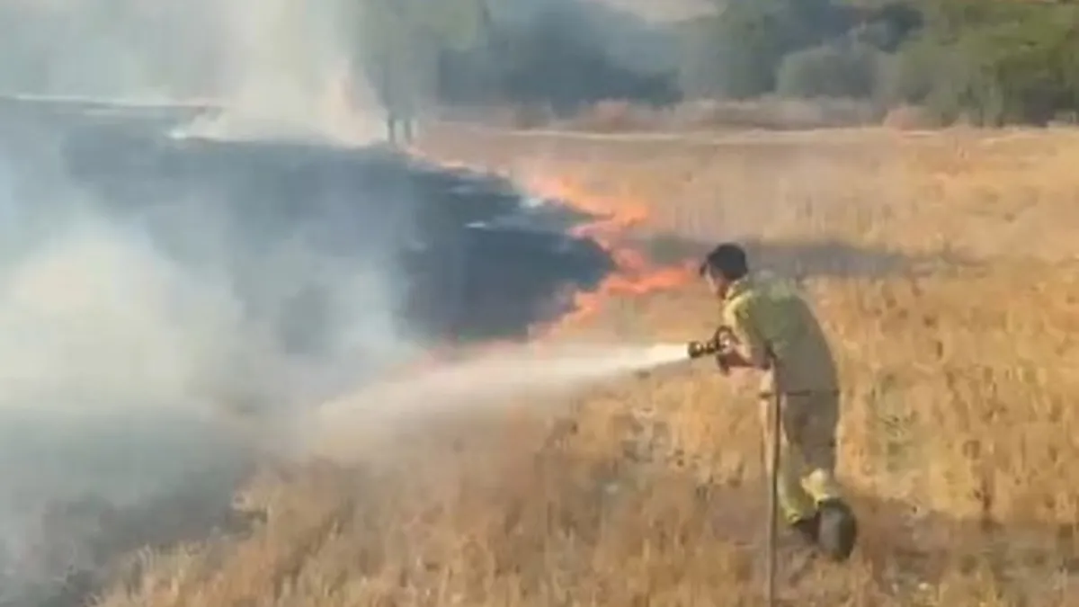 Bilecik'te orman yangını kısa sürede söndürüldü