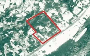 Kurul durdurdu, Koç umursamadı! Tarihi alanda 14 türde 55 ağaç kestiler