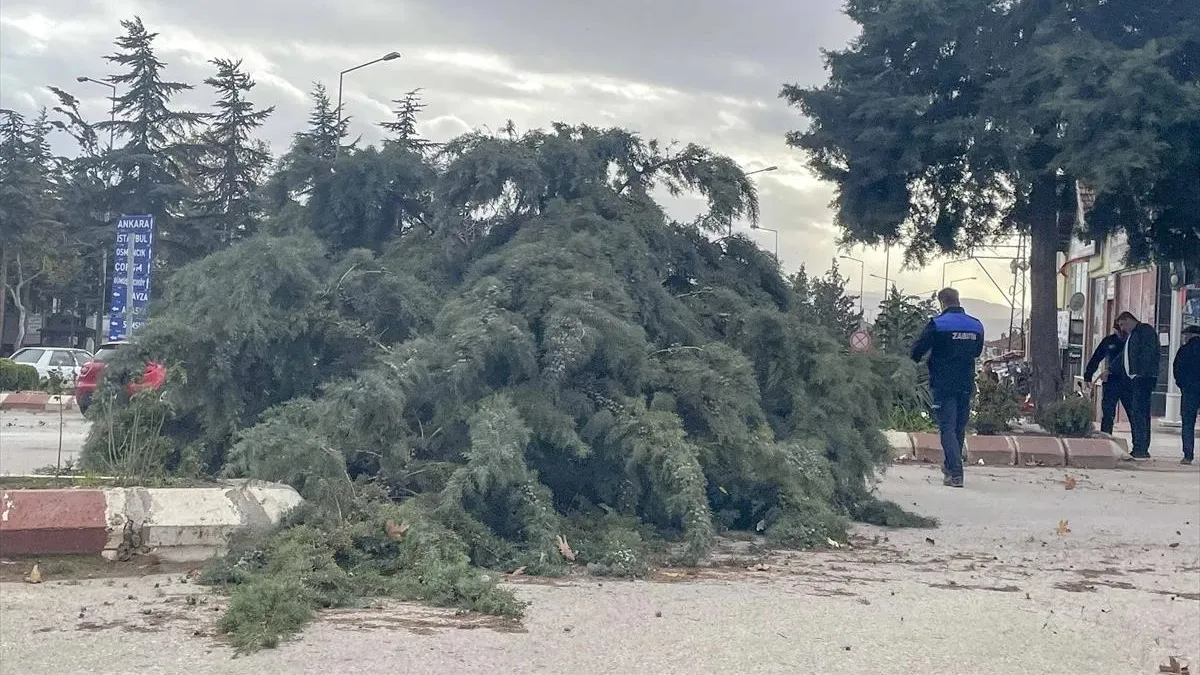 Amasya'da kuvvetli rüzgar çatıları uçurdu, ağaçları devirdi