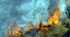Adana’daki orman yangını! Kontrol altına alındı