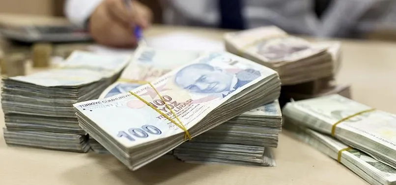 1274 projeye 245 milyon lira hibe desteği