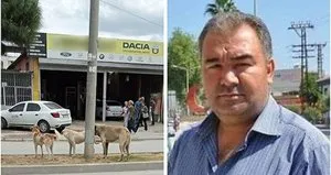 Sokak köpekleri yüzünden bir ölüm daha!