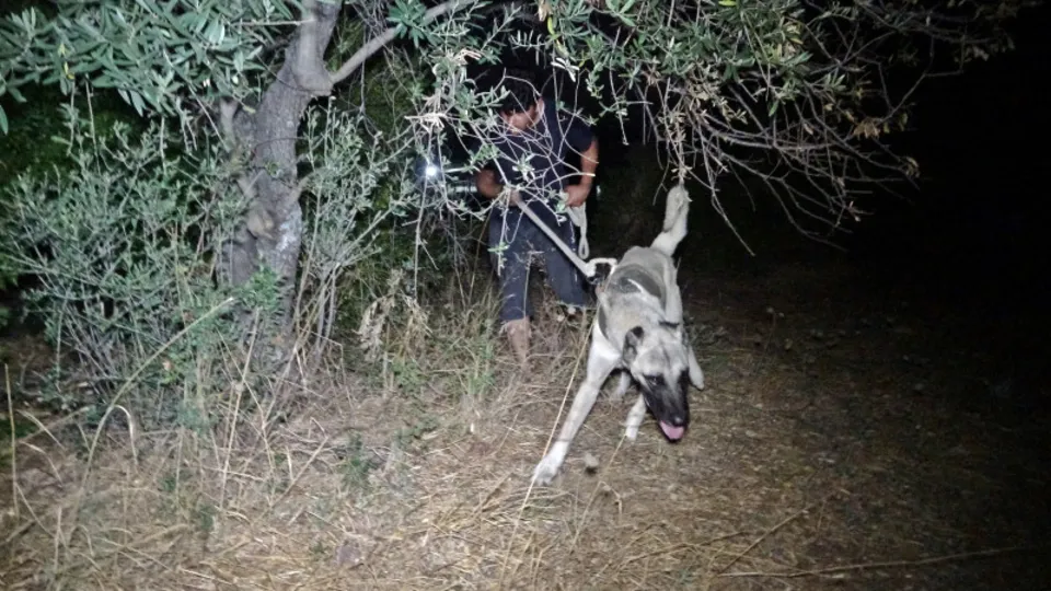 Tarlada milyonluk nöbet! Hırsızlığa ve yağmura karşı koruyorlar