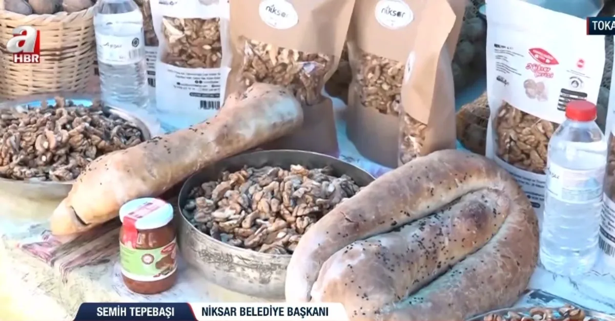 Niksar 9. Altın Ceviz festivali!