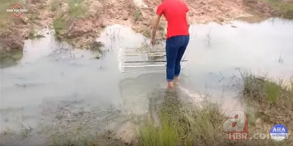 Erzincan'da eksi 20 derecede buzun altında balık avı! Onlarca balığı elleriyle böyle yakaladı: Güzel bir balık tutma tekniği 16