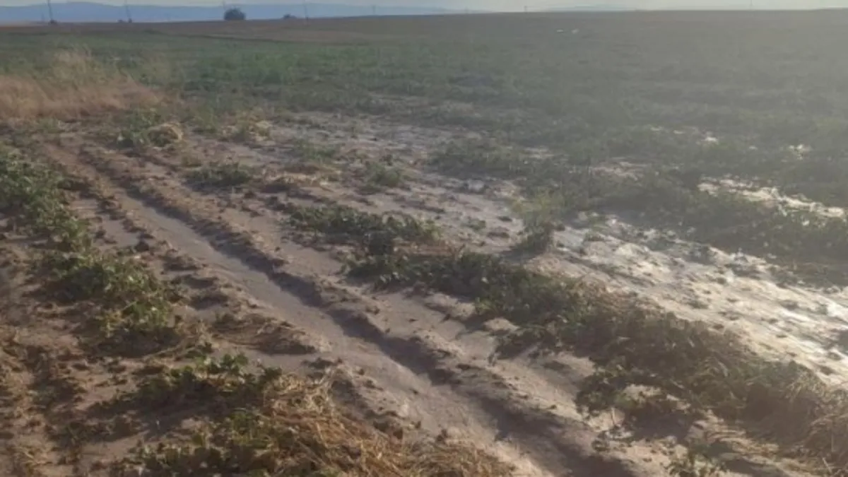 Ankara'da etkili olan sel tarlalarda hasar oluşturdu