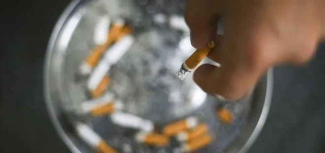 Hollanda’da restoran ve kafelerde sigara tamamen yasaklandı