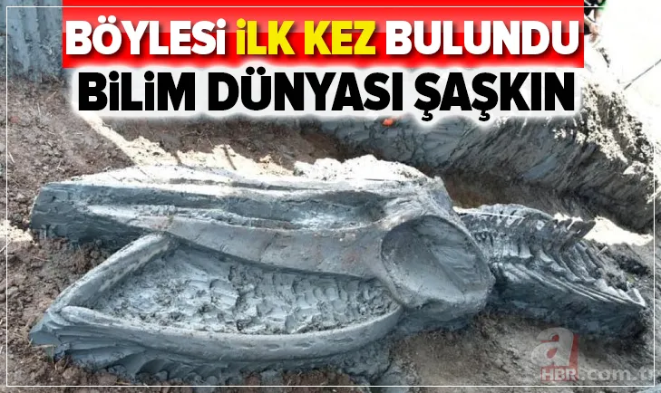 Bilim dünyasını şaşkına çeviren olay! Asırlara meydan okumuş! Tam 5 bin yıllık 1