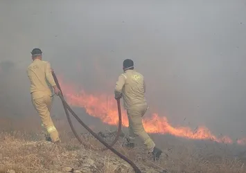 Kırklareli'de orman yangını söndürüldü