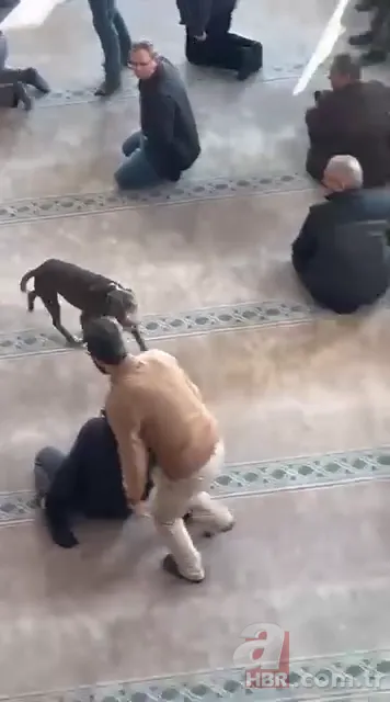 Camiye giren pitbull cemaatte panik yarattı! O anlar kamerada 3