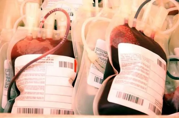 Kan grubuna göre diyet nedir? Hangi kan grubu nasıl beslenmeli?