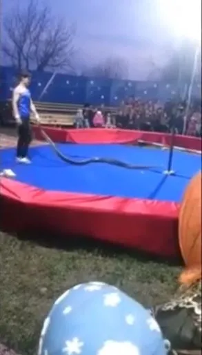 Dev piton gösteri yapan adamı seyircilerin gözü önünde boğdu! O anlar böyle görüntülendi 1