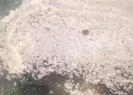 Büyükada açıklarında korkutan görüntü