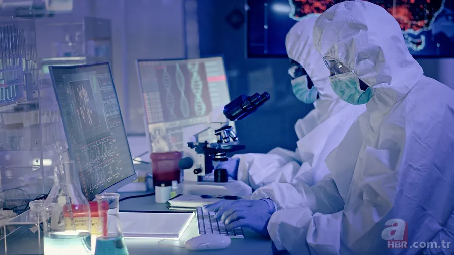 Maymun çiçeği virüsü Türkiye'de var mı? Sağlık Bakanı Fahrettin Koca açıkladı! Maymun çiçeği hastalığı belirtileri nedir? 7