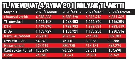 Son dakika: Tarihin en yüksek seviyesine çıktı! Yerli yatırımcının finansal varlıkları 5.8 trilyonu geçti