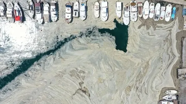 Başkan Erdoğan’dan Marmara’da müsilaj seferberliği mesajı! Haliç’i temizlediğimiz gibi Marmara’yı da kurtaracağız