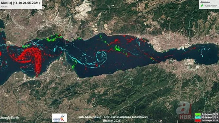 Türkiye’de bir ilk: İşte Marmara Denizi’ndeki müsilajın yoğunluk haritası! Tablo çok vahim