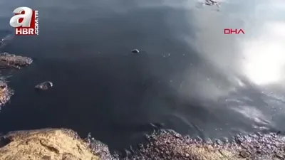 Batman’da petrol boru hattında sızıntı!