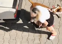 Pitbull dehşeti! Kediyi parçalamıştı: Köpeği ağızlıksız gezdiren sahibine 95 bin TL ceza