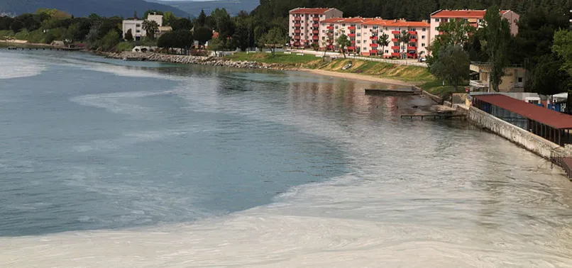 Çanakkale Boğazı'nda deniz salyası tehlikesi! Uzman isim uyardı: Sakın denize girmeyin