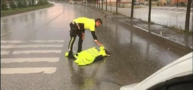 AK Parti Sözcüsü Ömer Çelik yaralı köpeği yağmurdan koruyan polisi paylaştı