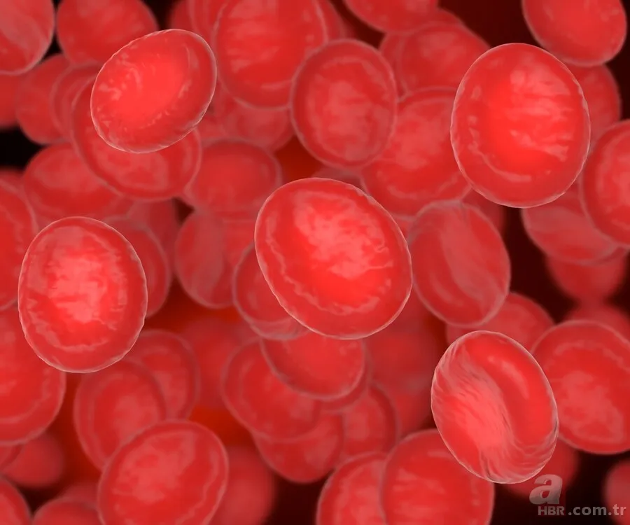 Kan Grubunuz Hayati Önem Taşıyor! 🩸 ❤️ A, B, 0, AB (+/-)... O Gruptaki Kişiler Daha Az Risk Altında... 4