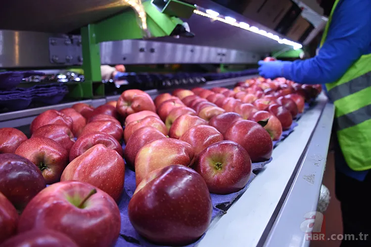 Pamuk prenses bile şaşırır! Her gün elma yemenin gerçek sırrı 2