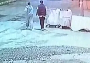 Kediye taşla vuran kadın yakalandı