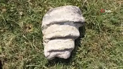 Hayvan otlatırken fosil buldu