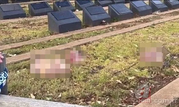 Siyonist propagandaya hizmet eden provokasyon! Sydney'de Müslüman mezarlığına akılalmaz saldırı 1