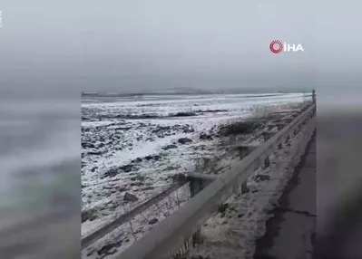 Kurt sürüsü şehir merkezine indi