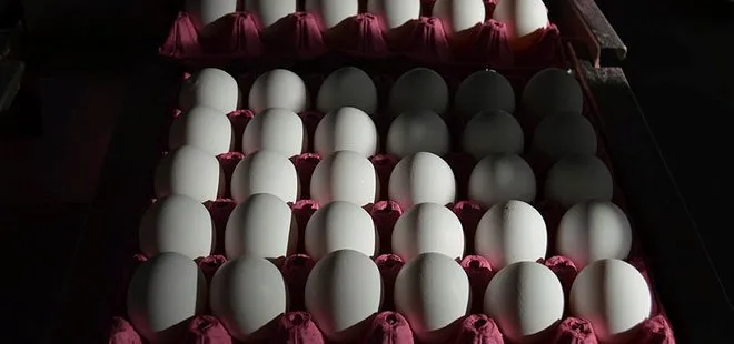 İran’da artan yumurta fiyatlarını Türkiye düşürecek