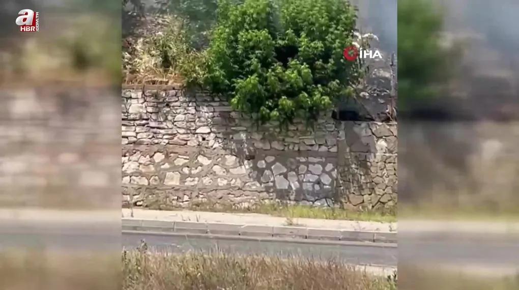 Tekirdağ'da ot yangını paniğe neden oldu