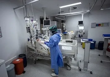 Bilim insanları araştırdı! İşte koronavirüsün ortaya çıkmasının sebebi