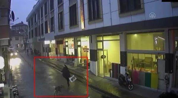 sakaryada-sahipsiz-kopekler-okuldan-donen-cocuga-saldirdi-1669480298004.jpg Sakarya'da sahipsiz köpekler okuldan dönen çocuğa saldırdı - 1