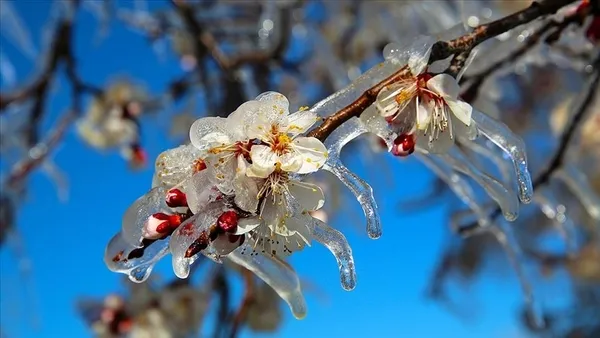 1635176061819.jpg Kar yağışı için yeni uyarı! Çok sayıda ilde sağanak yağış alarmı! Meteoroloji'den üst üste açıklamalar... - 3