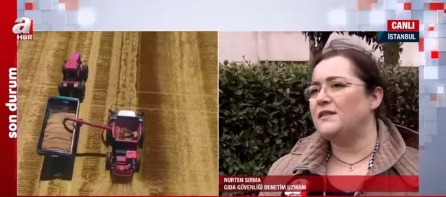 Buğday ve ayçiçek yağı fiyatında sert düşüş! Uluslararası piyasada fiyatlar daha da düşecek mi?