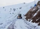 Yedisu- Çatak yolu kar nedeniyle trafiğe kapatıldı