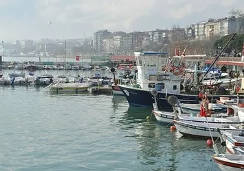 Marmara Denizi'nde 'kaykay' alarmı