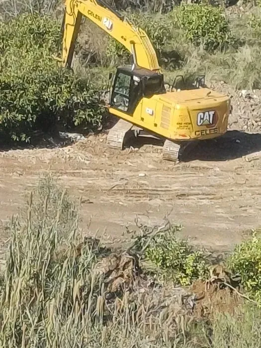 CHP’li Narlıdere Belediyesi’nden ağaç katliamı! Bakanlık olaya el koydu