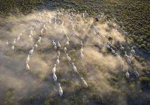 FAO uyardı: İklim değişikliği 2100’e kadar o sektörde milyonların geçimini etkileyebilir