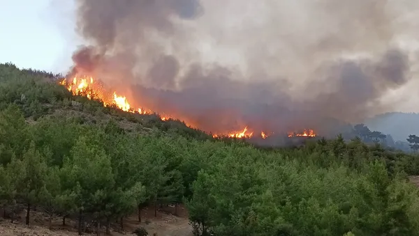 Tarım ve Orman Bakanı Bekir Pakdemirli’den CHP Genel Başkanı Kemal Kılıçdaroğlu’nun iddialarına cevap