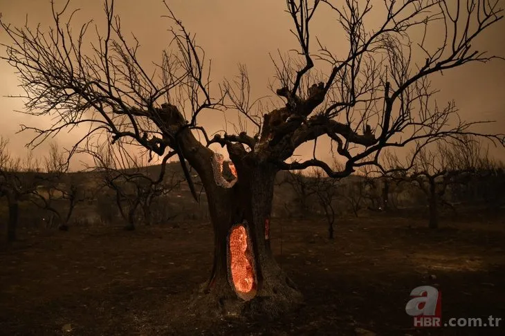Yunanistan yangınında 9. gün! Kontrol altına alınamıyor: 720 bin dönümün üzerinde alan yandı