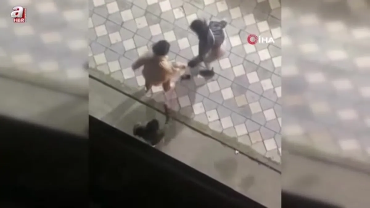 Esenyurt'ta kadınların saç başa birbirine girdiği kavgası kameraya yansıdı