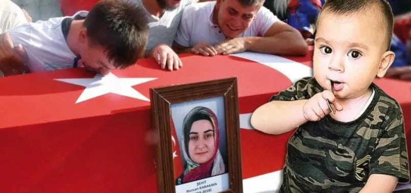 Son dakika: İçişleri Bakanlığı duyurdu: Bedirhan bebek ve annesinin kanı yerde kalmadı
