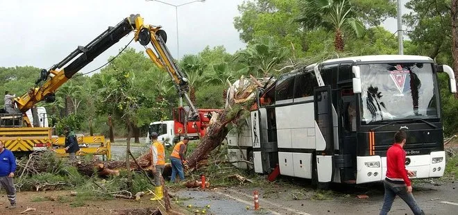 Servis otobüsü üzerine ağaç devrildi: 7 yaralı