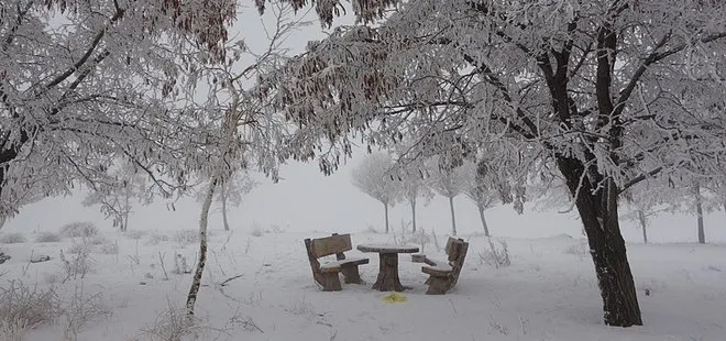 Bitlis’te soğuk hava manzarası hayran bıraktı