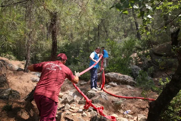 Yanan bölgelere hangi tür ağaçlar dikilecek? Harekete geçildi